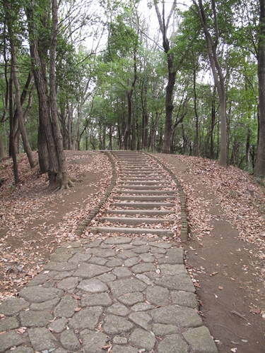 四季の森公園3日目-46
