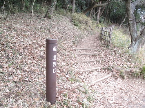 四季の森公園4日目-01