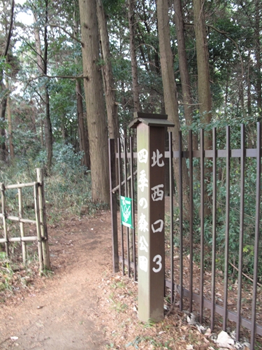 四季の森公園4日目-07