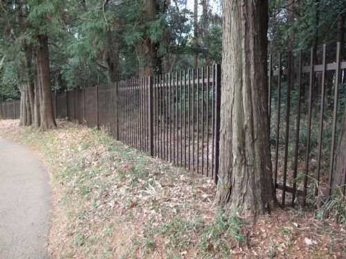 四季の森公園4日目-08