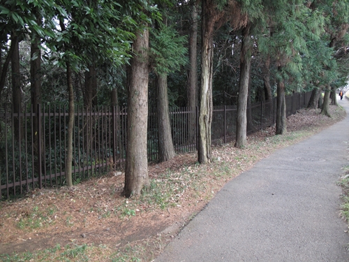 四季の森公園4日目-09