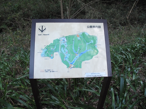 四季の森公園4日目-11