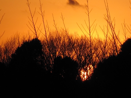 四季の森公園夕日