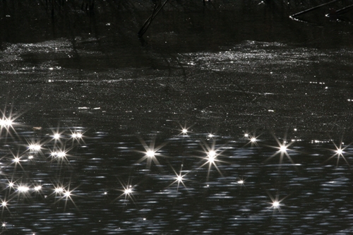 新治市民の森-43