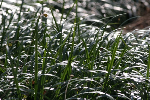 新治市民の森-47