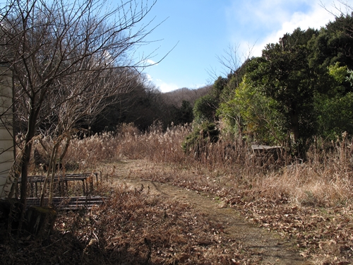 新治市民の森-08