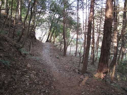 新治市民の森-12