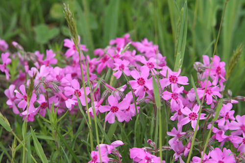 大倉山展望台08