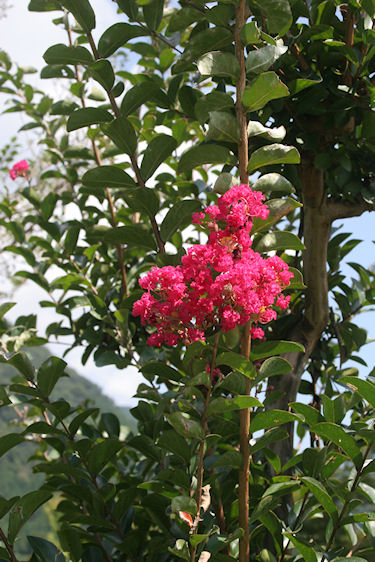 安佐サービスエリアより06