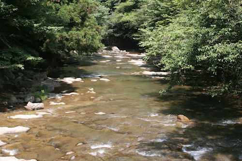 滝頭八重滝県立自然公園01