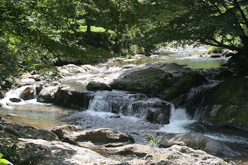 滝頭八重滝県立自然公園02