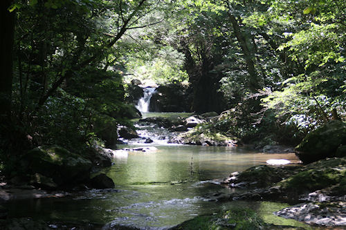 滝頭八重滝県立自然公園07