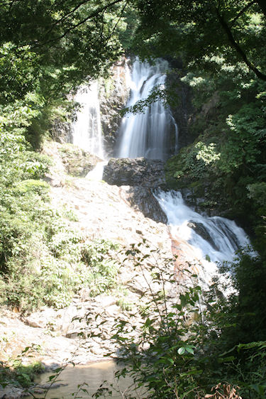 滝頭八重滝県立自然公園08