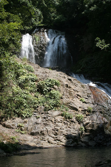 滝頭八重滝県立自然公園10