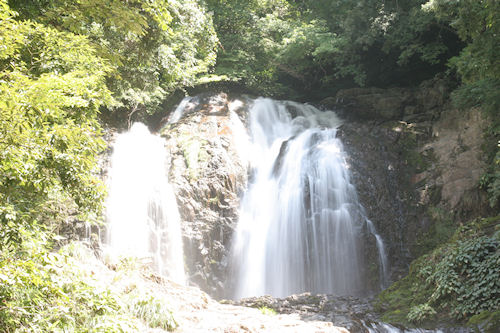 滝頭八重滝県立自然公園11