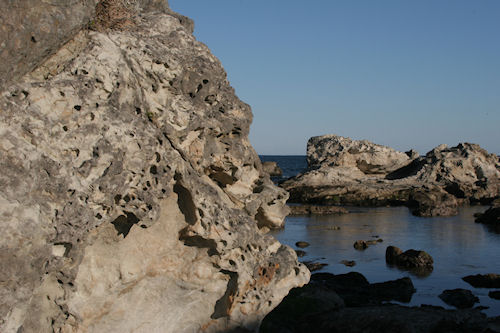 房総半島35仁右衛門島