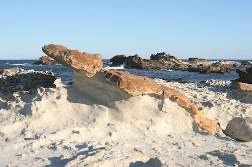 房総半島39仁右衛門島