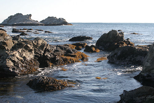房総半島41仁右衛門島