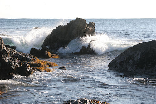 房総半島43仁右衛門島