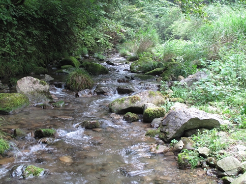 秋川渓谷06