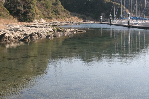 三浦半島・宮川湾13