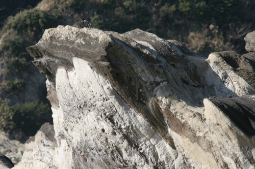 三浦半島・宮川湾20