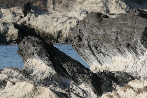 三浦半島・宮川湾21