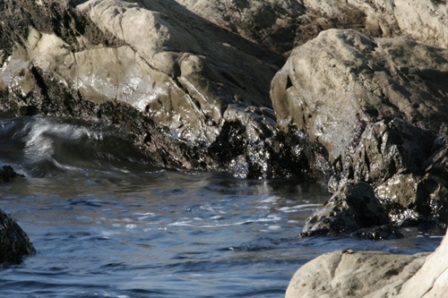 三浦半島・宮川湾22