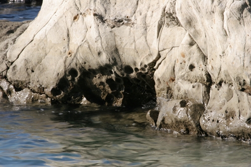 三浦半島・宮川湾23