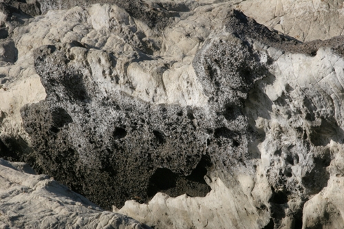 三浦半島・宮川湾24