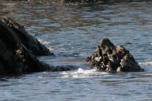 三浦半島・宮川湾25