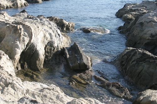 三浦半島・宮川湾26