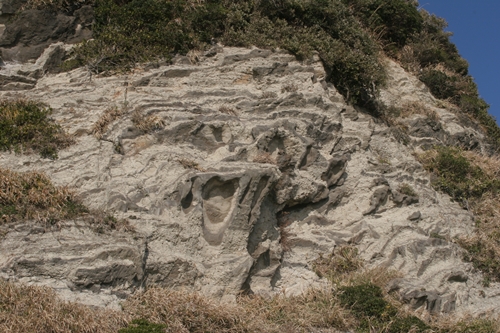 三浦半島・宮川湾30