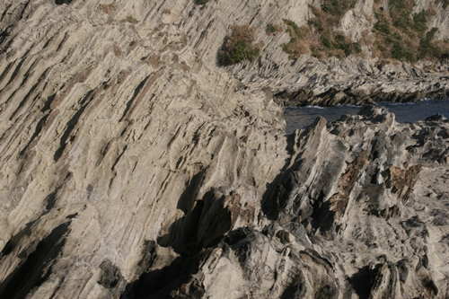 三浦半島・宮川湾34