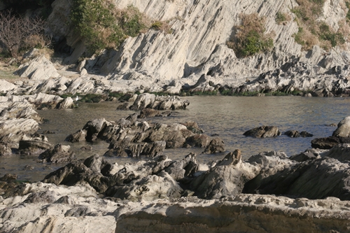三浦半島・宮川湾35