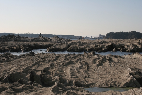 三浦半島・宮川湾38