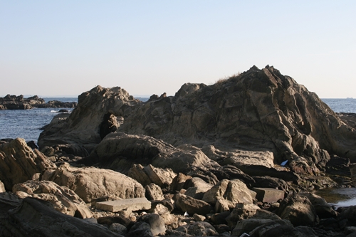 三浦半島・宮川湾44