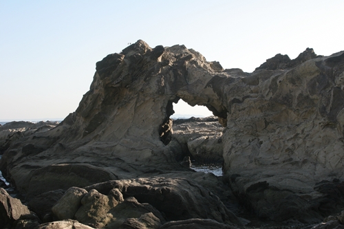 三浦半島・宮川湾45