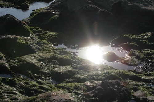 三浦半島・宮川湾48