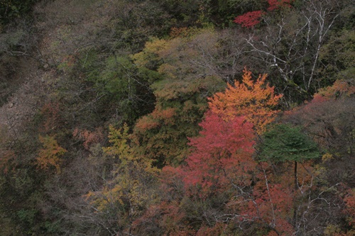 日光43華厳の滝付近